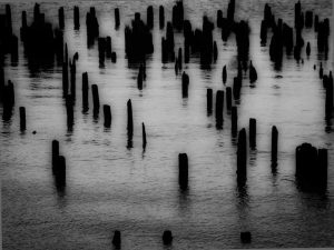 Pilings on the Columbia River