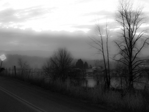 Sauvie Island, Portland, OR